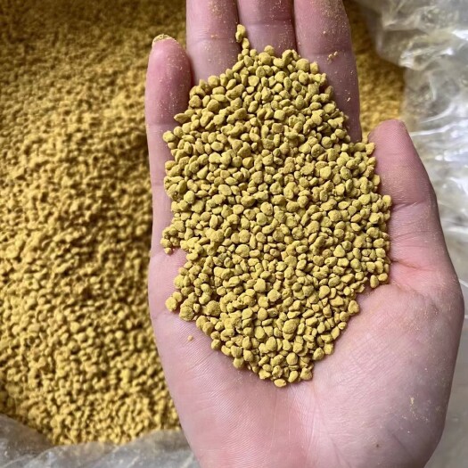 长葛市新鲜青海油菜蜂花粉天然正品可食用 未破壁 高纯度 五斤包邮