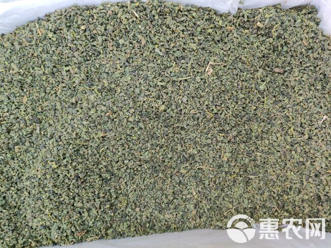 桑叶茶 花茶中药材 颜色青翠 新货花茶 规格齐全