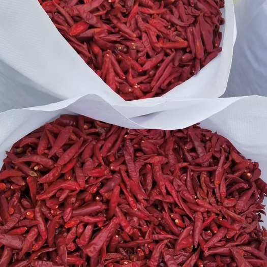 乐陵市朝天椒干辣椒魔鬼椒批发微辣香辣特辣