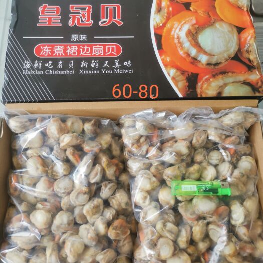 成都皇冠贝肉，扇贝肉全规格