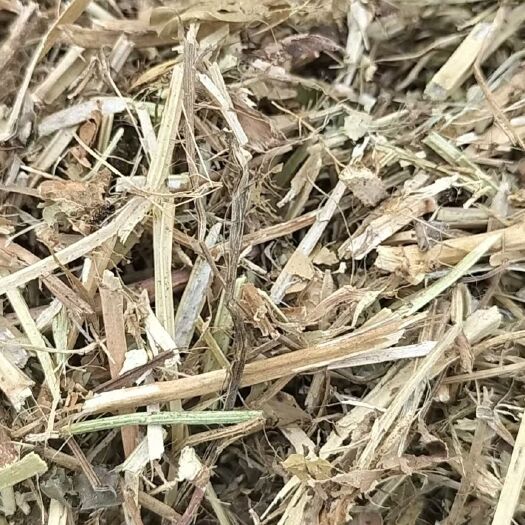 枣阳市优质黄草
