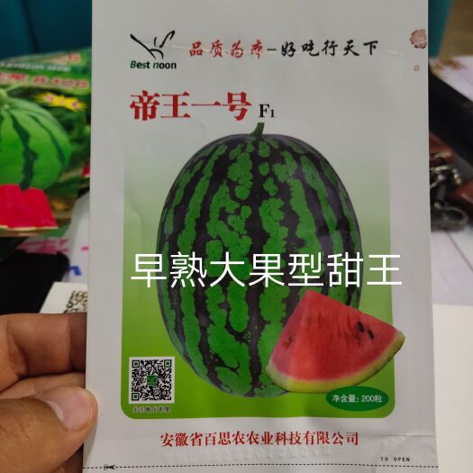 扶沟县帝王一号甜王西瓜种子抗病抗裂大果早熟不倒瓤不空心耐低温耐高