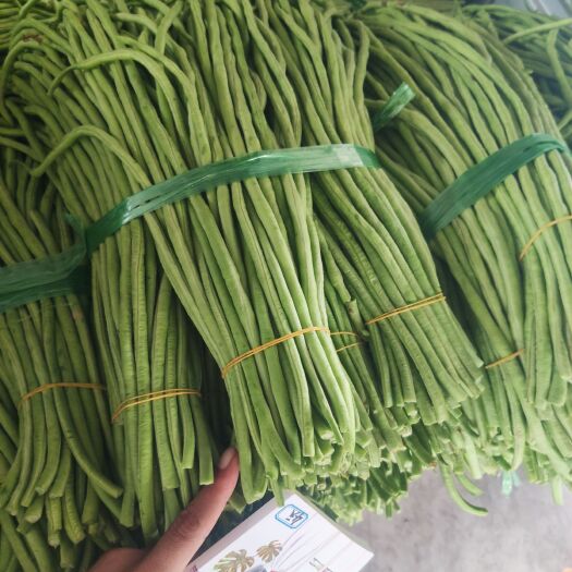 北海代收豆角，代腌酸豆角