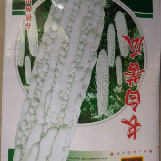 长白苦瓜，耐热，抗病，苦味适中，肉厚，籽少