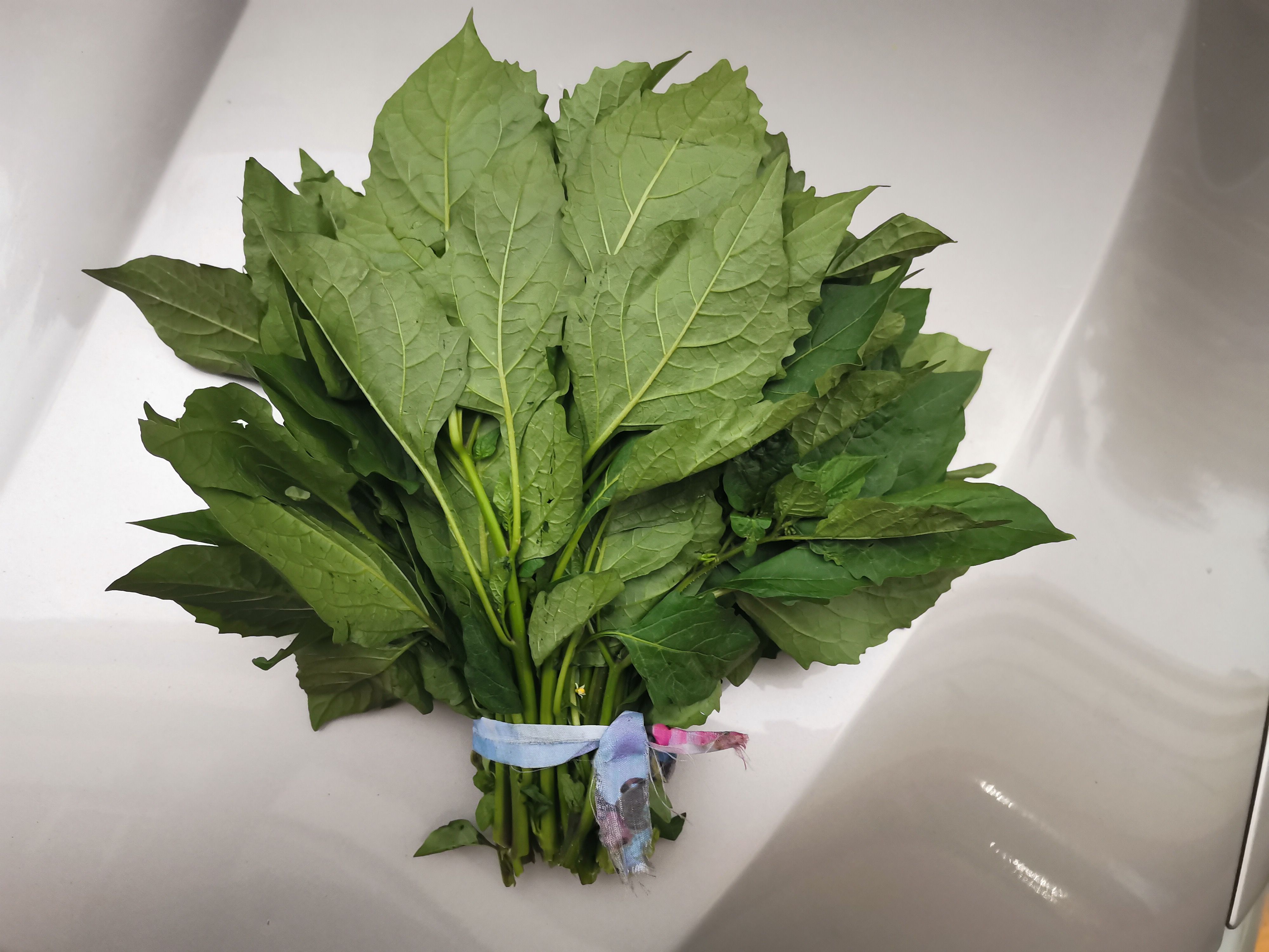 东莞市龙葵菜，百花菜，数量有限
