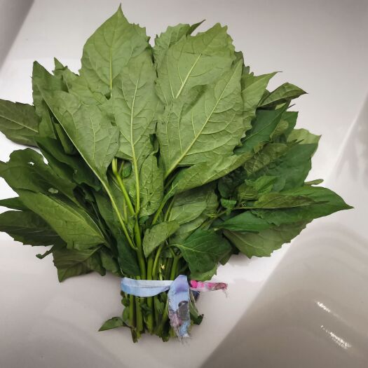 东莞市龙葵菜，百花菜，数量有限