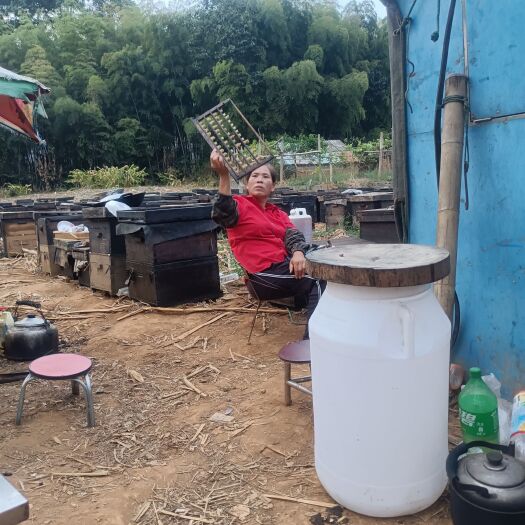江华县桶装蜂蜜批发75公斤散装百花蜂蜜洋槐蜂蜜结晶土蜂蜜自产自销