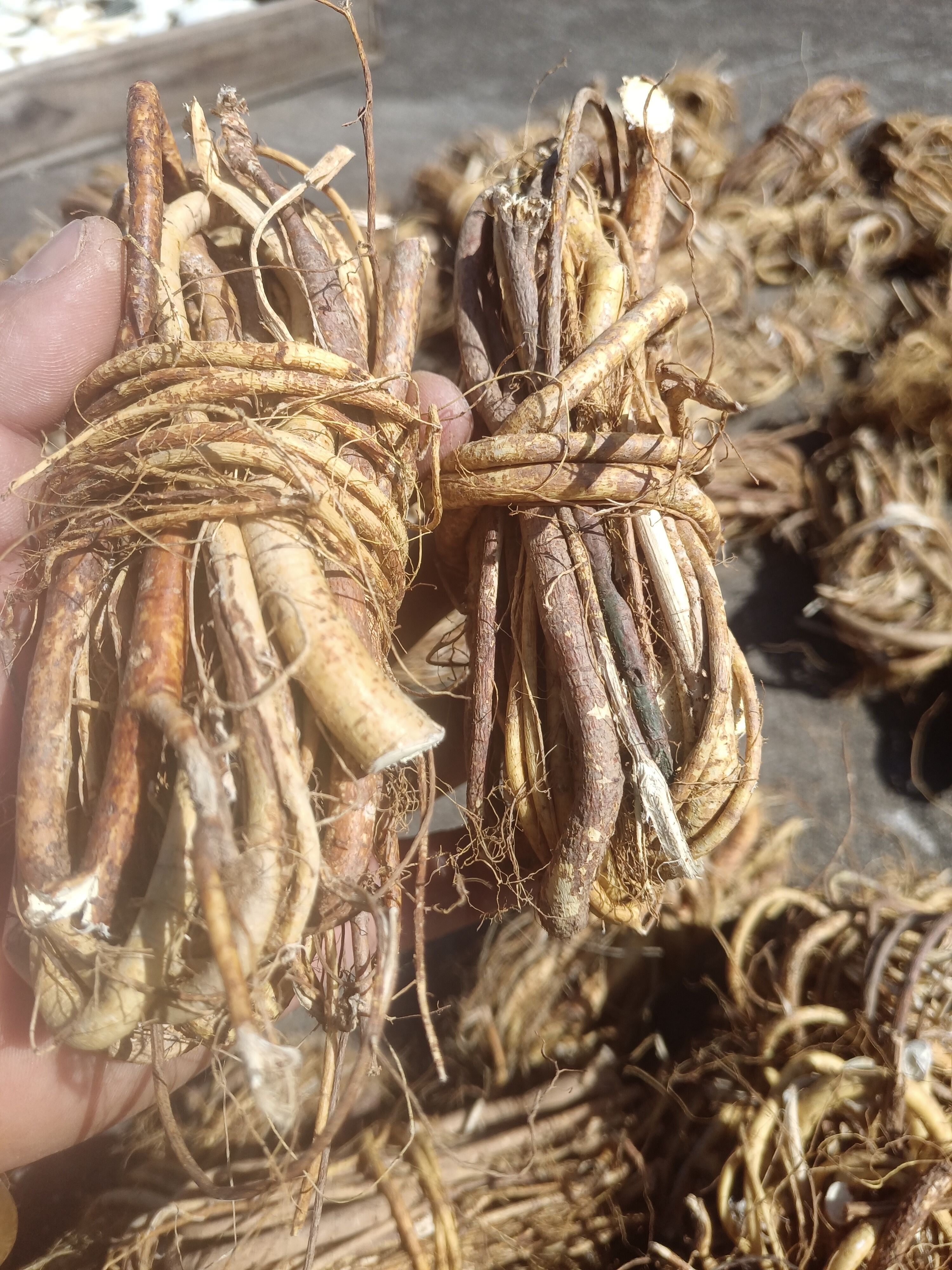 纯五指毛桃小扎把干货！一捆100克左右大小。