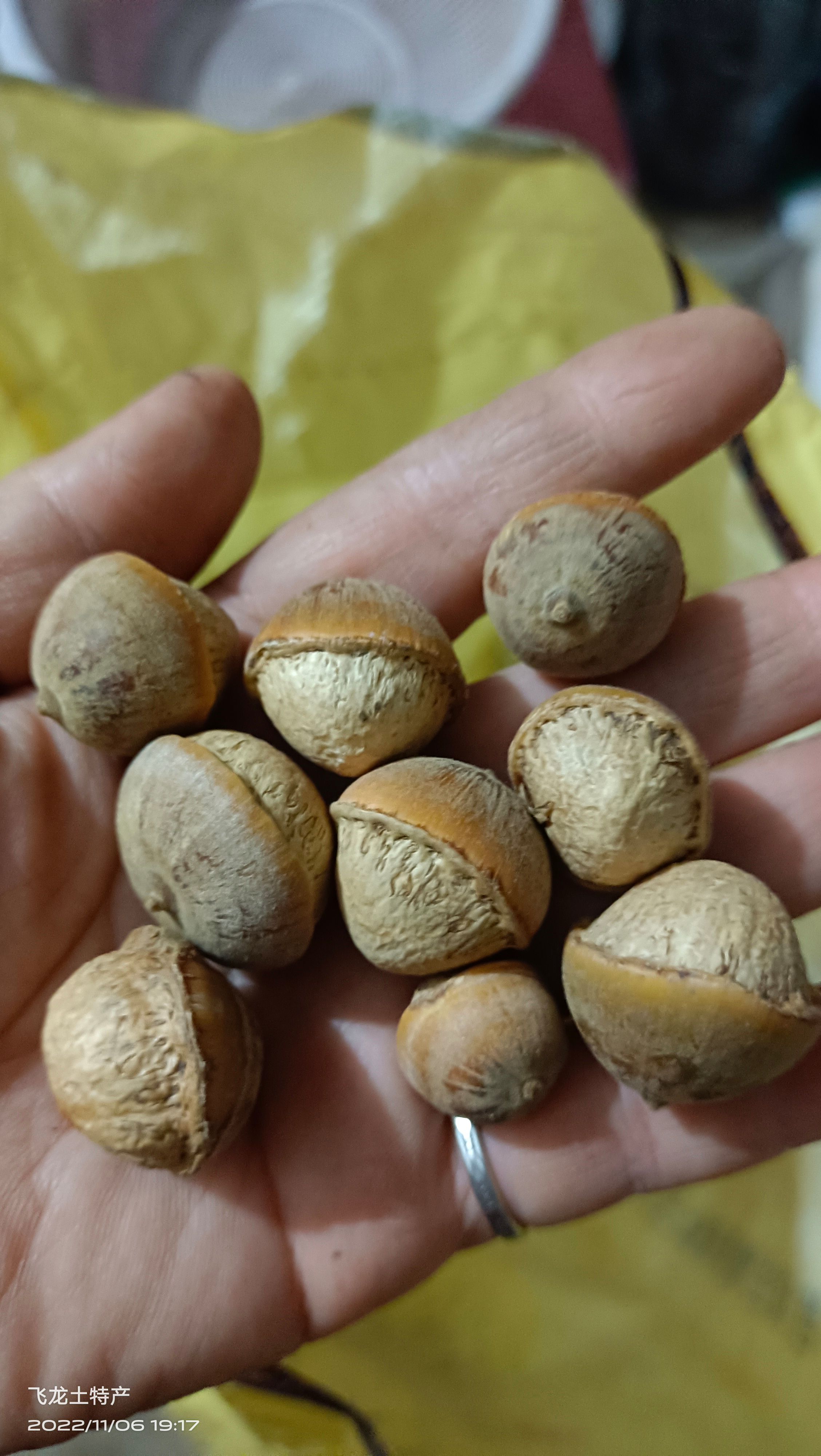 风流果(马古叠)粒粒有肉，簿壳，产地货源，一百斤起可议价
