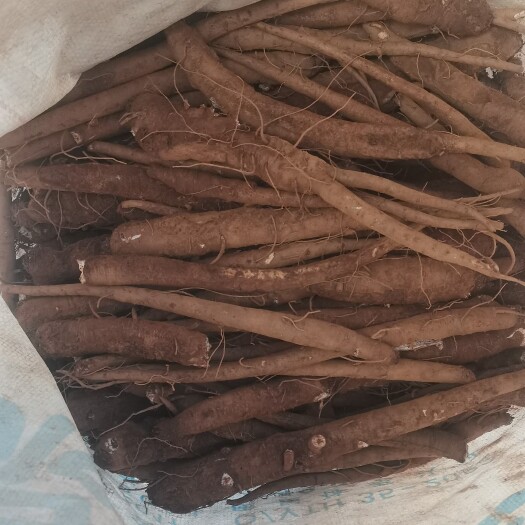 云南大理州剑       甜归