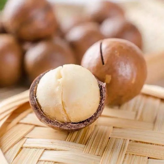 杭州【工厂直发】云南新货夏威夷果奶油味干果类坚果批发