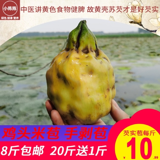 鸡头米苞苏芡苞芡实苞鸡头米苞苏芡苞
