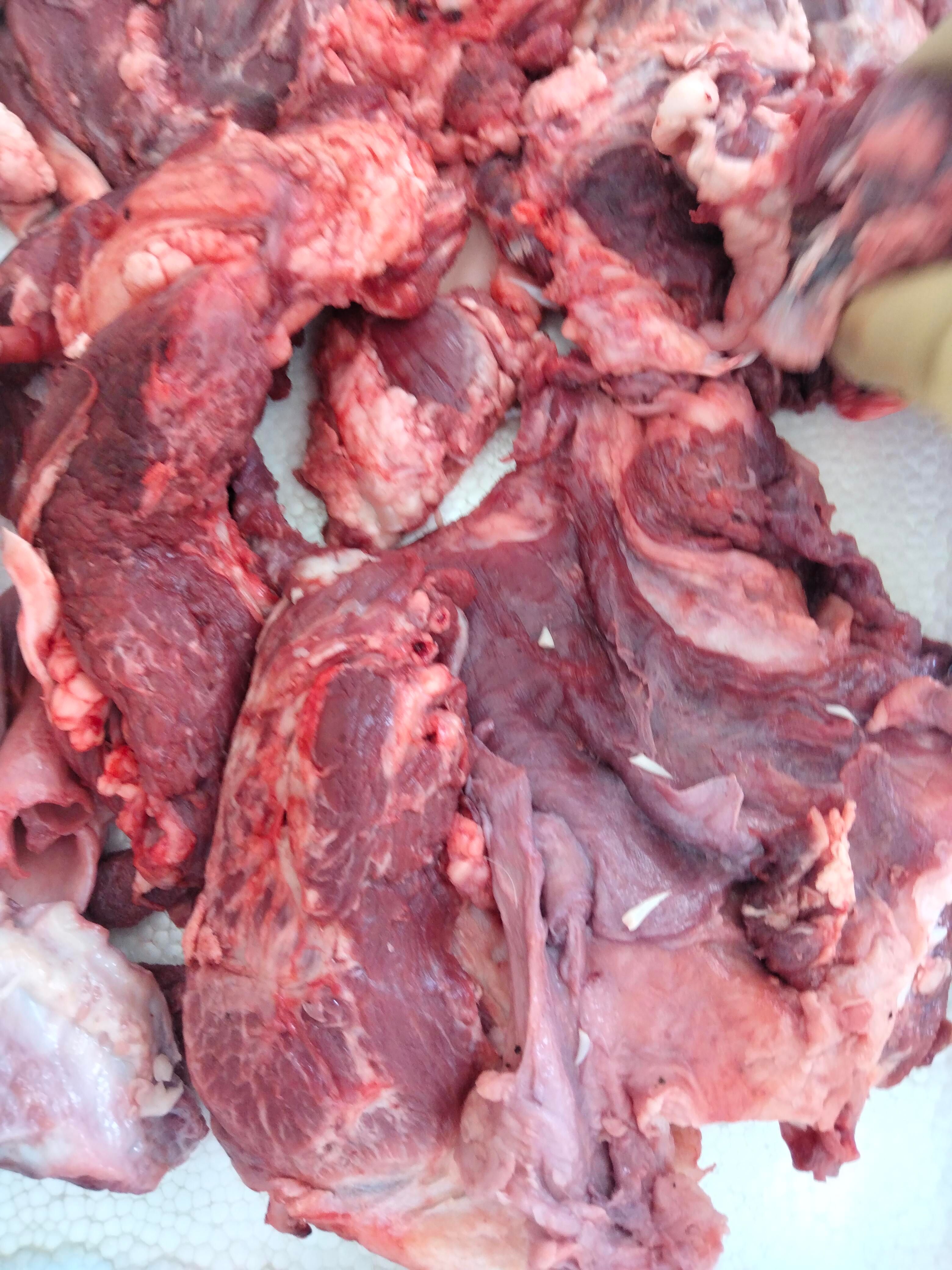 小面肉