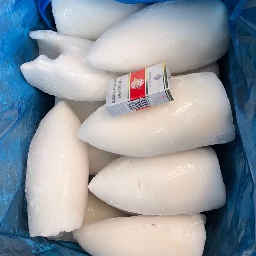 上海目鱼筒