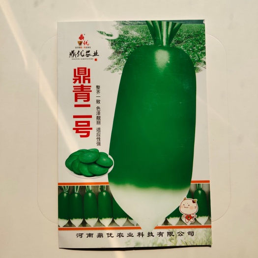 扶沟县鼎青二号萝卜种子口感甜脆商品性好整齐一致皮光滑