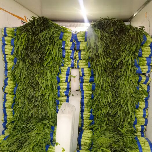 兰陵县精品红尖莴笋