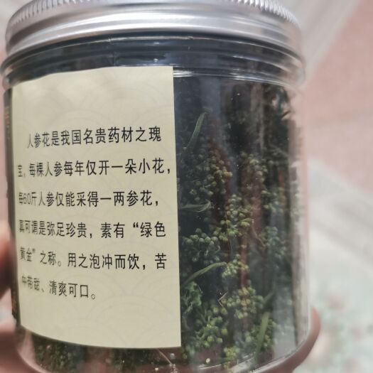 抚松县人参花新鲜采摘