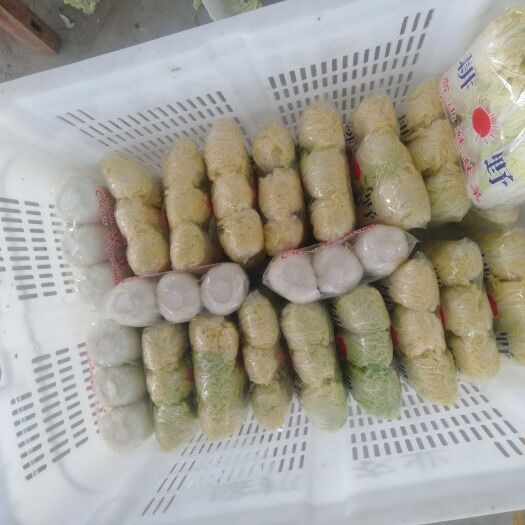 宜城市高山娃娃菜！大娃小娃都有！万亩基地！现已上货，有需要的联系
