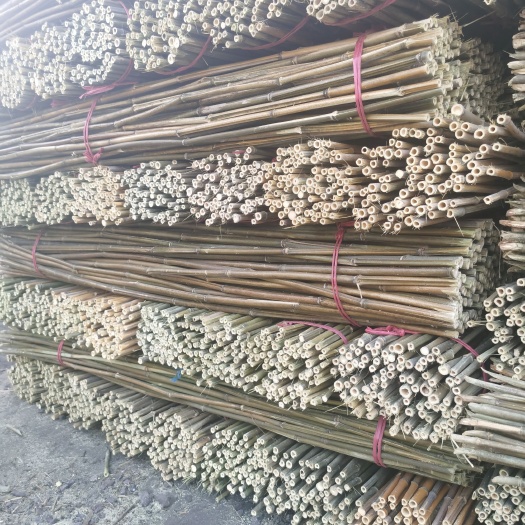 竹竿火龙果竹子1.5米100枝装，辣椒架