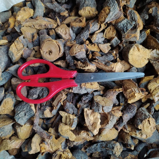 石阡县贵州铜仁药材生鲜酸汤杆个子截段虎杖薄片干品无杂质产地直发