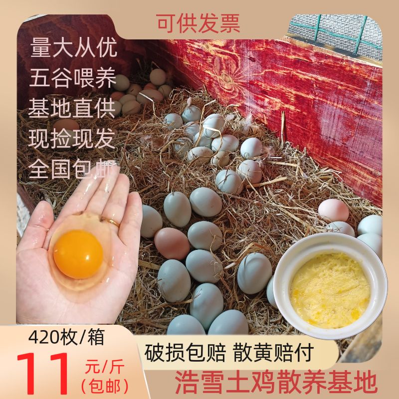京山市【包邮隔日达】现捡 草鸡蛋 柴鸡蛋山林散养 谷物喂养420枚