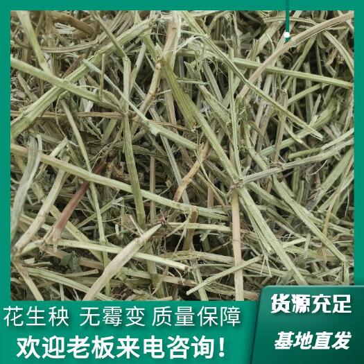 正阳县花生秧 过滚筒，无土无膜，无霉变，保质保量。