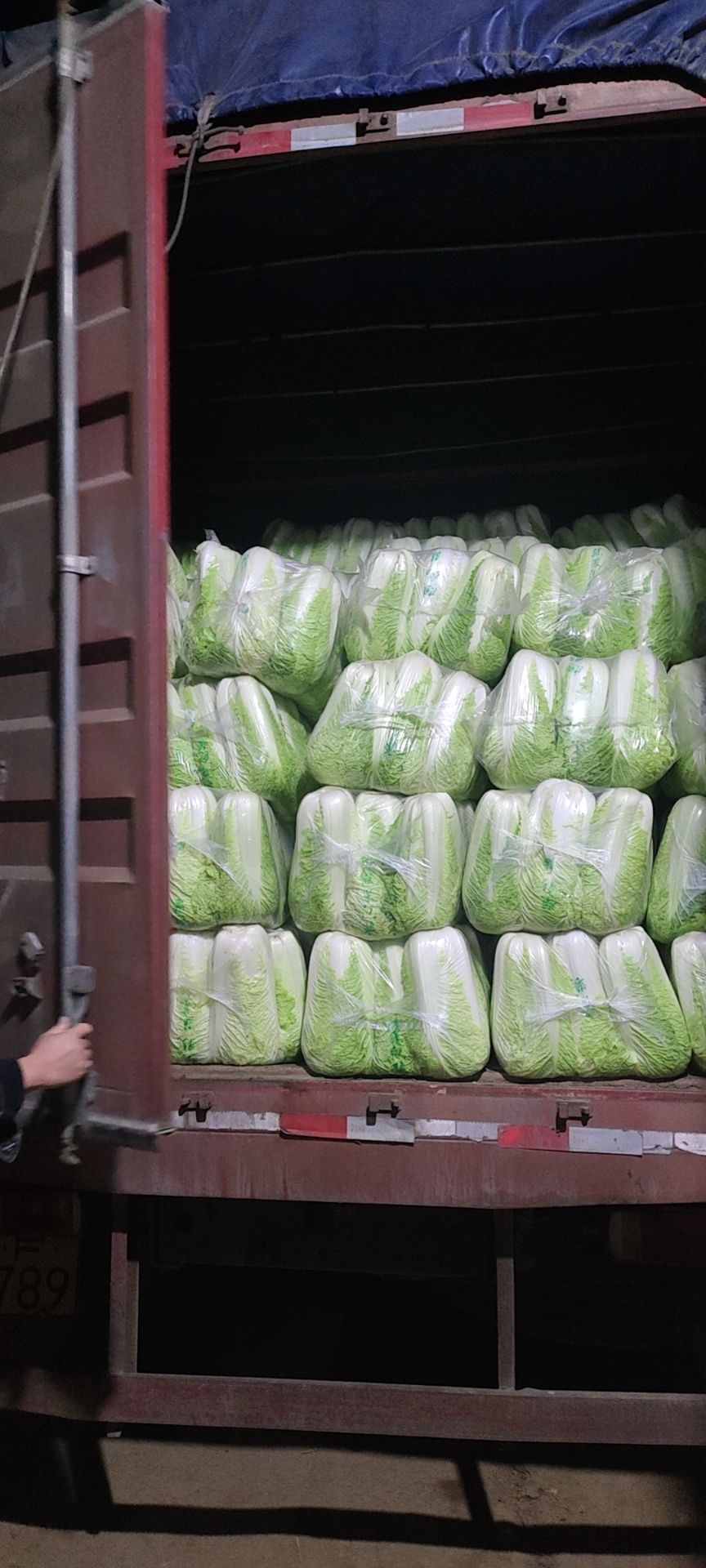 常年发河北，山西，东北三省，河南，德州，两广等