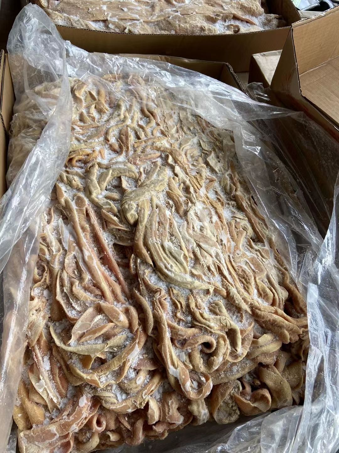 破开去油牛小肠半熟牛肠新鲜冷冻去油免洗牛小肠半成品牛杂火锅食
