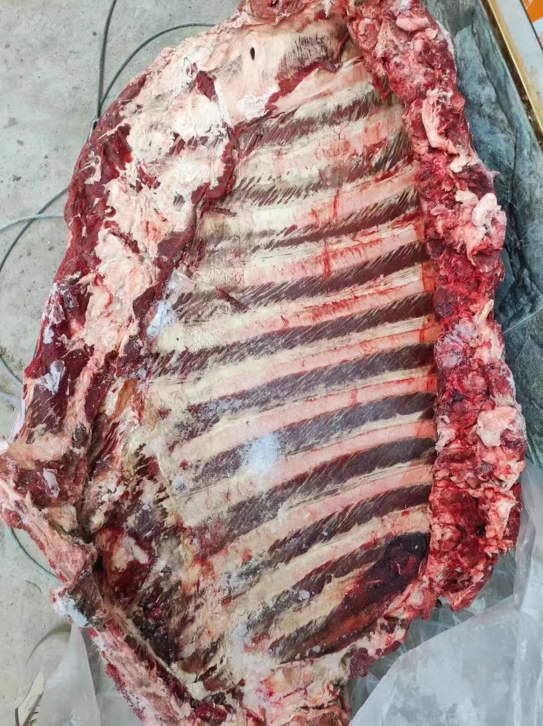 国产纯干多肉鲜冻公牛排  多肉