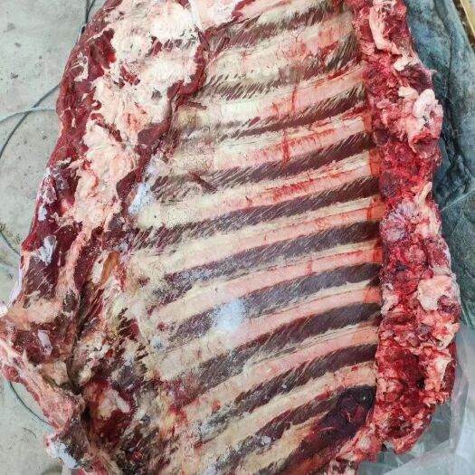 国产纯干多肉鲜冻公牛排  多肉