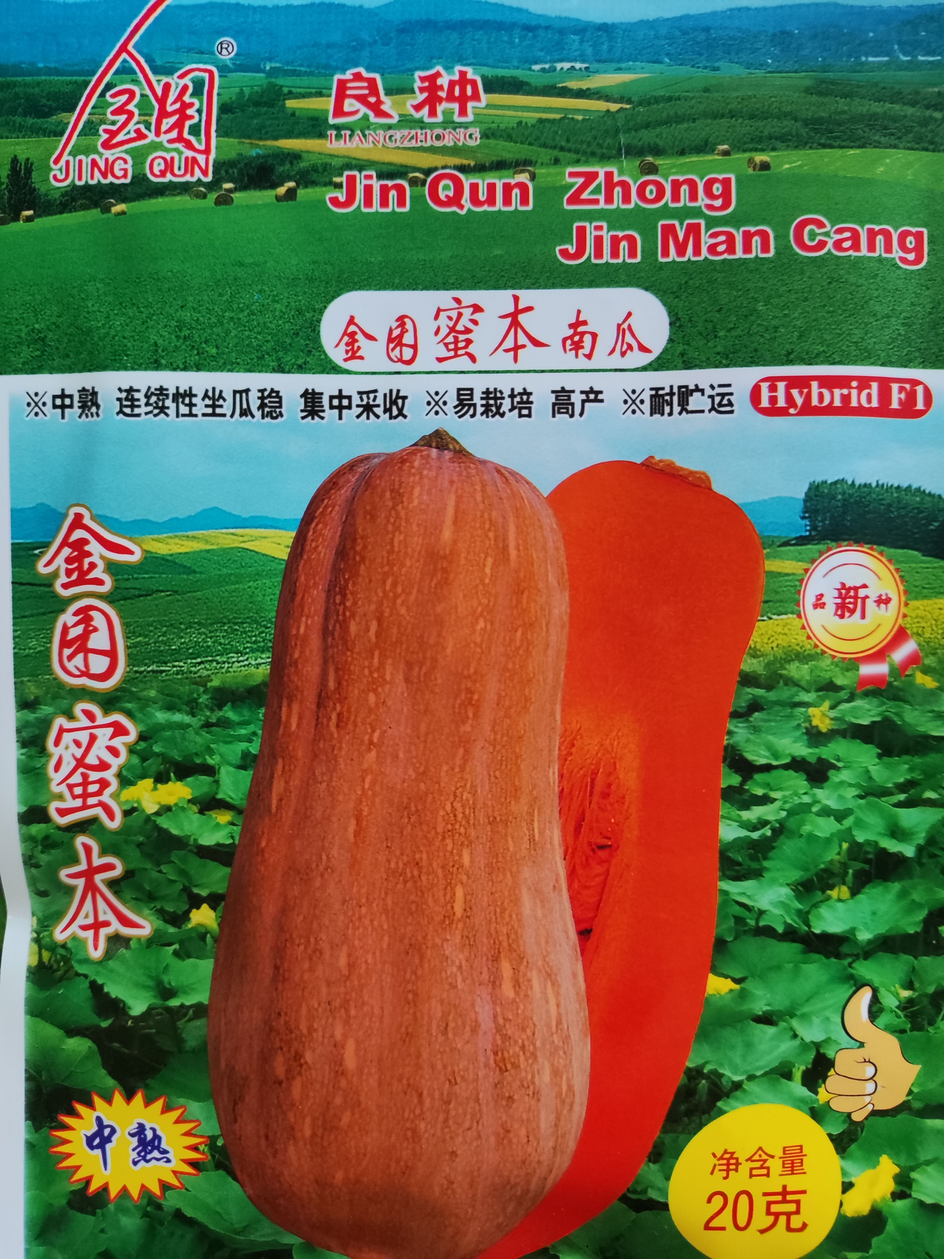 宜城市蜜本南瓜种子 85%