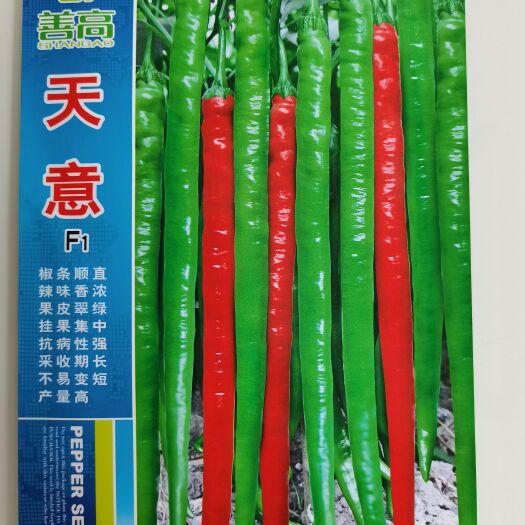 【销量王】线椒辣椒种子超级高产辣椒四季种籽，菜园基地种植，