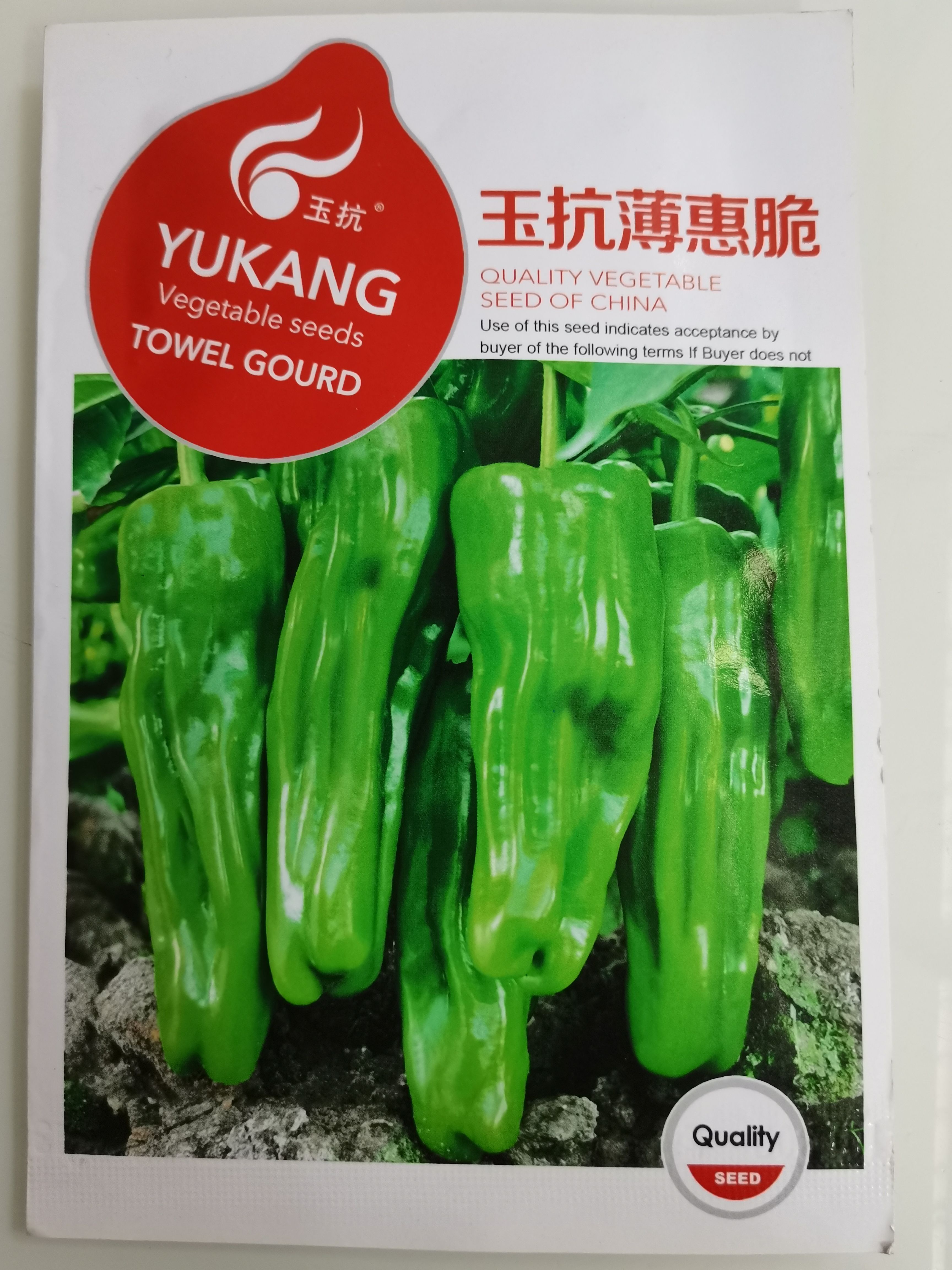 【销量王】【育苗】早熟薄皮青椒种子辣椒种子蔬菜菜园基地种植