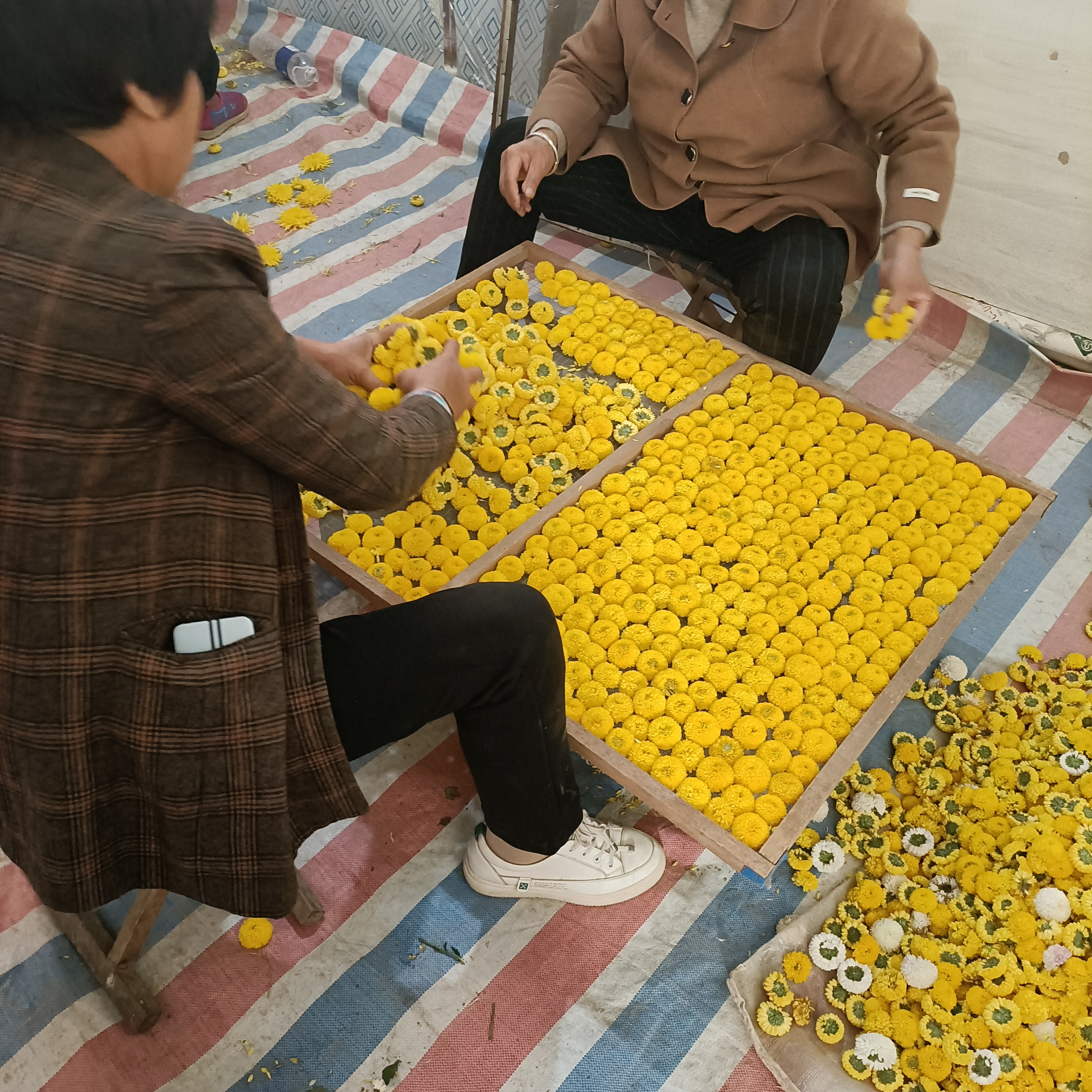 興賜茶園花茶中藥材批發(fā)店