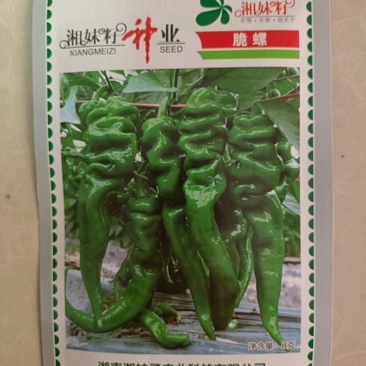 邵东市湘妹子脆螺辣椒种子极早熟长角形螺丝椒皮薄口感佳适合大棚露地
