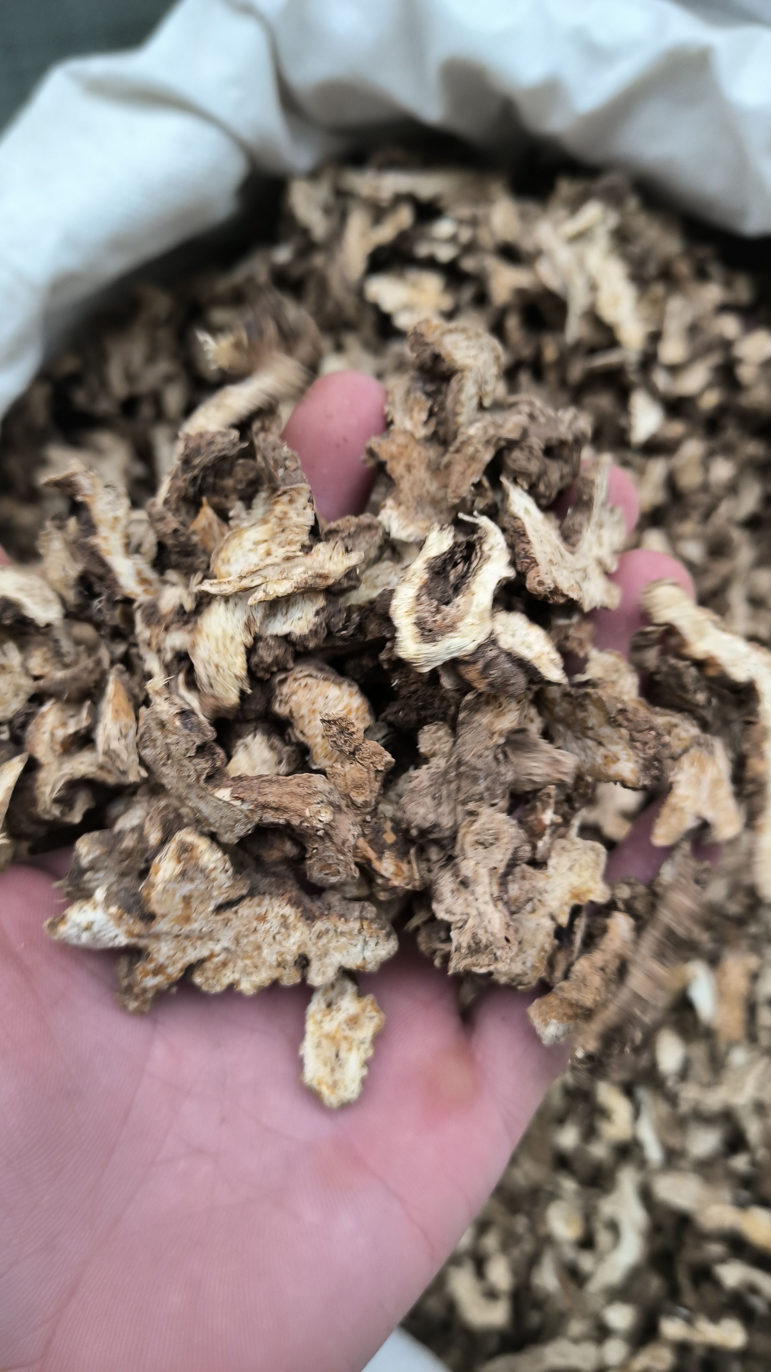 无硫苍术  生苍术  炒苍术 家种苍术苍术 规格齐全