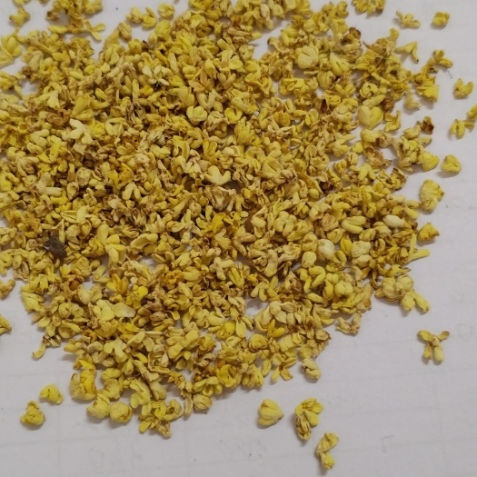 永福县桂花瓣