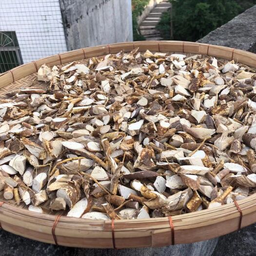 郁南县五指毛桃
