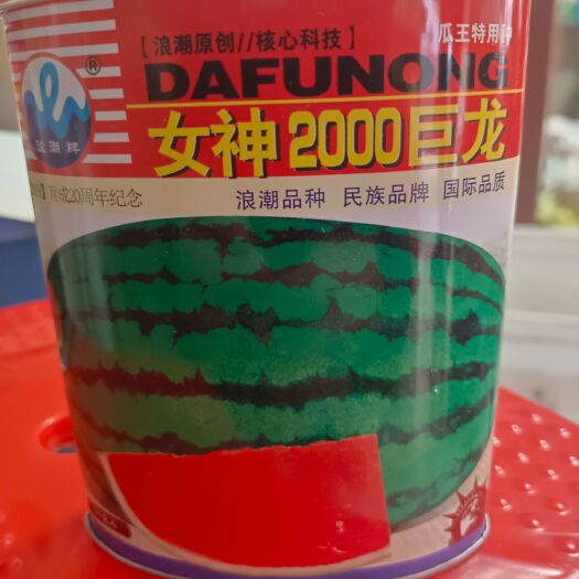 邵东市高产大果西瓜种子女神2000巨龙30斤以上大红瓤抗病性强适应