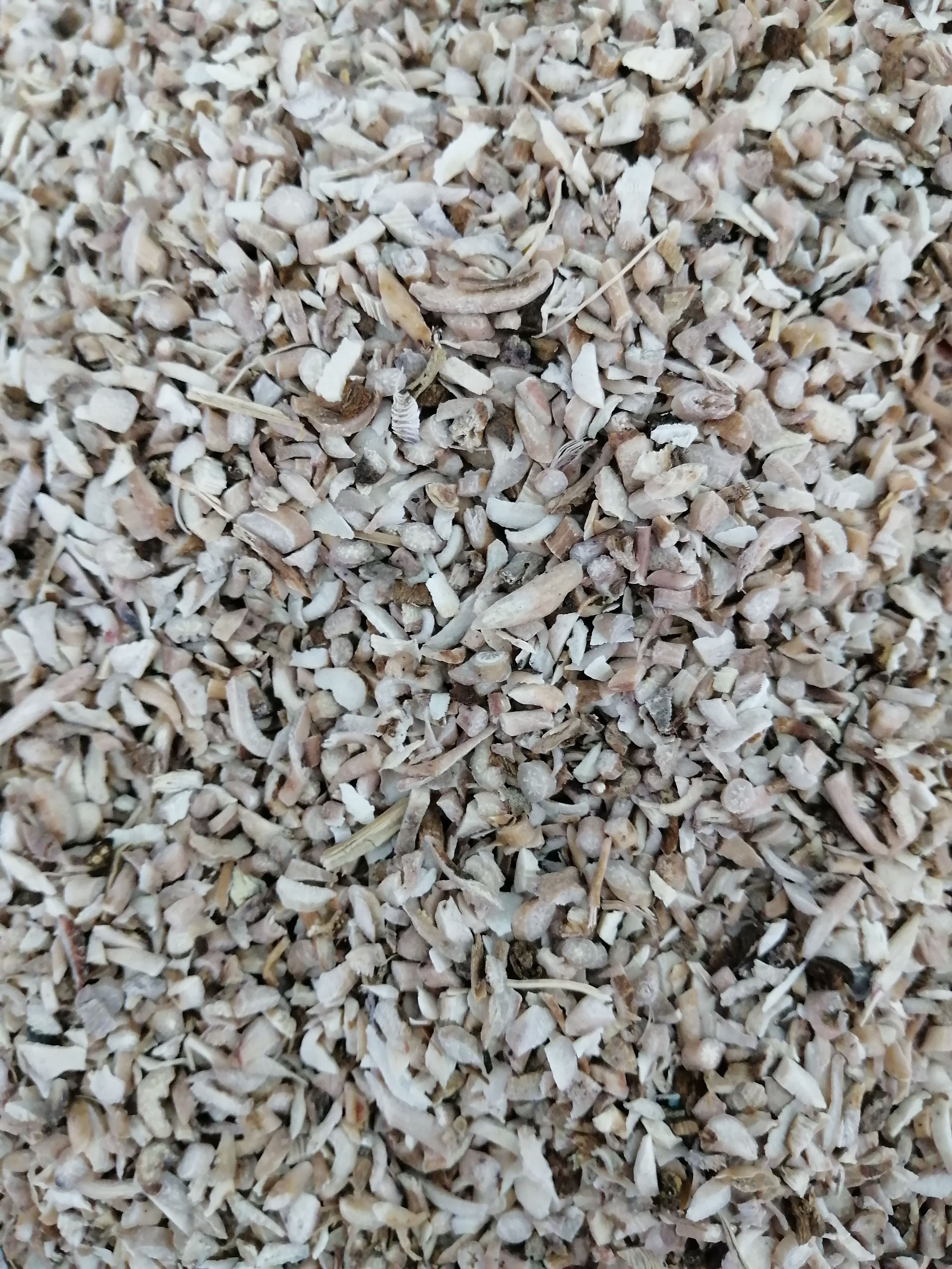 白芍干净无硫白芍粉优质原色规格齐全