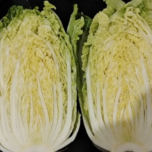 文水县山西省文水县大量精品白菜出售，质量保证，价格超低，随时装车。