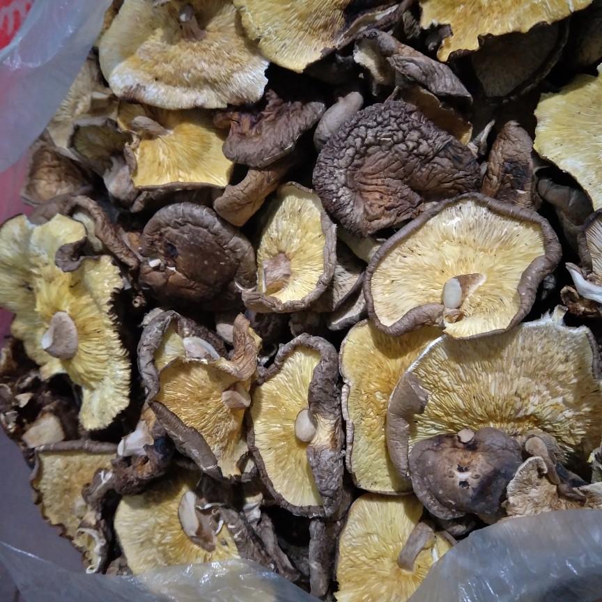 汝阳县香菇片  剪脚大片香菇，中片，小片，次菇B菇，碎片产地供