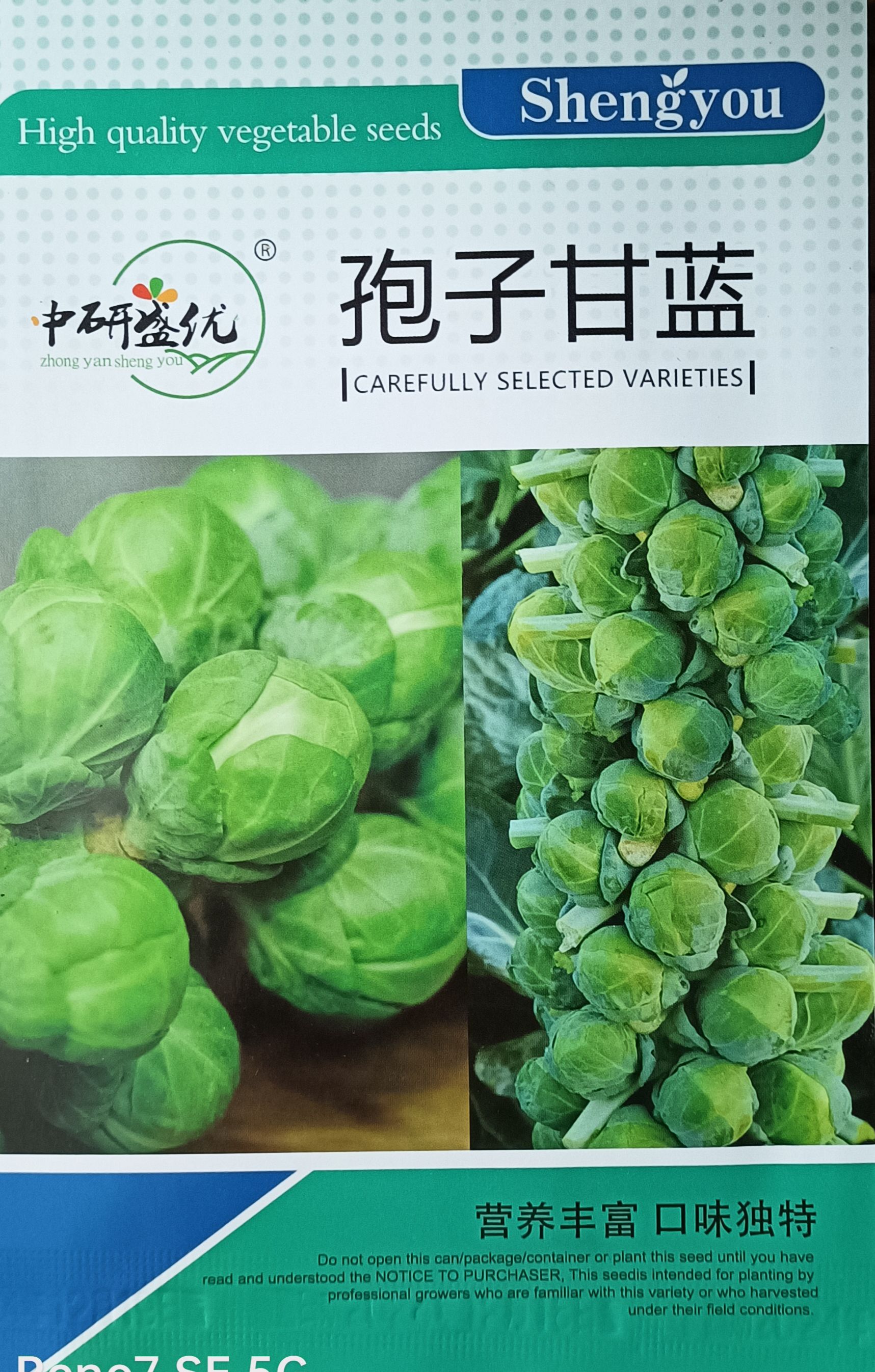 抱子甘蓝种子孢子甘蓝种子迷你小包菜种子