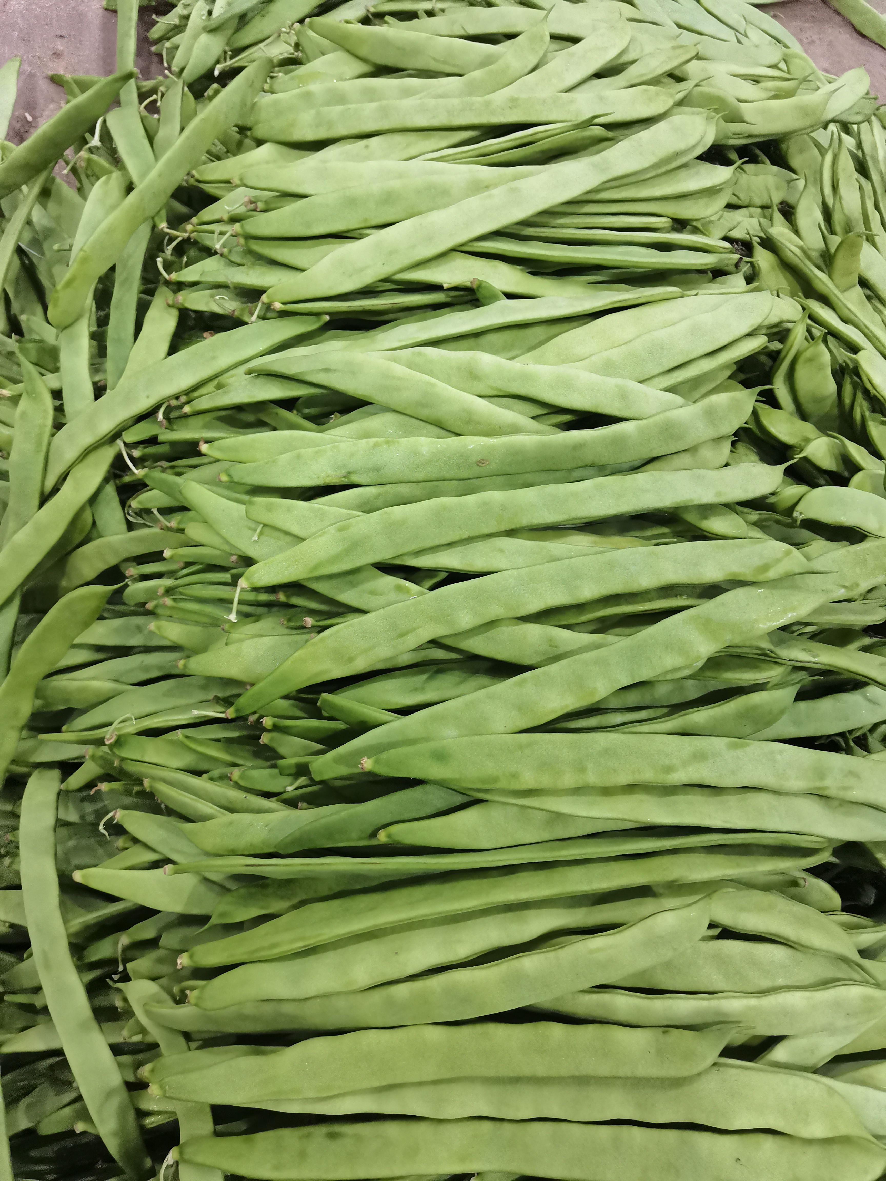 电商到精品都大量有货，云南绿扁豆合作共赢，诚信第一，！