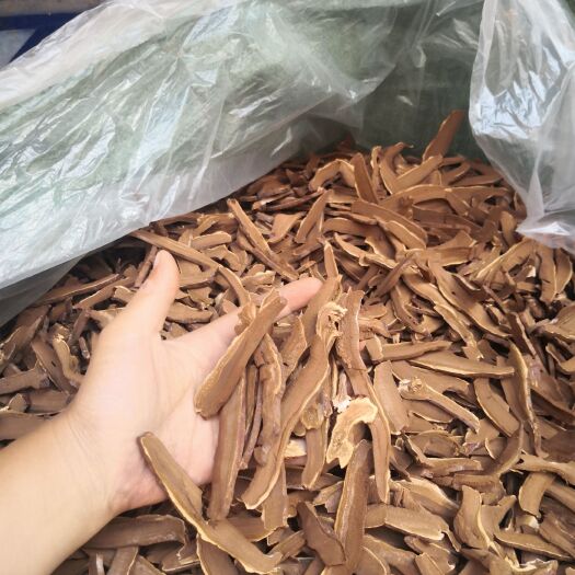 冠县灵芝切片  山东聊城灵芝种植基地美芝切片
