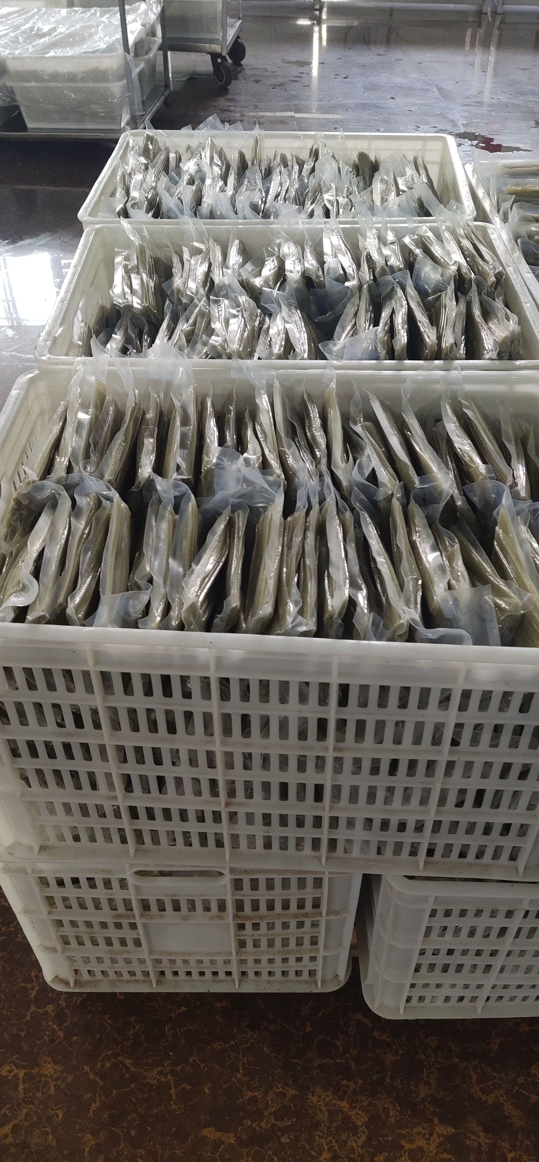 大量出售红薯粉条火锅宽粉