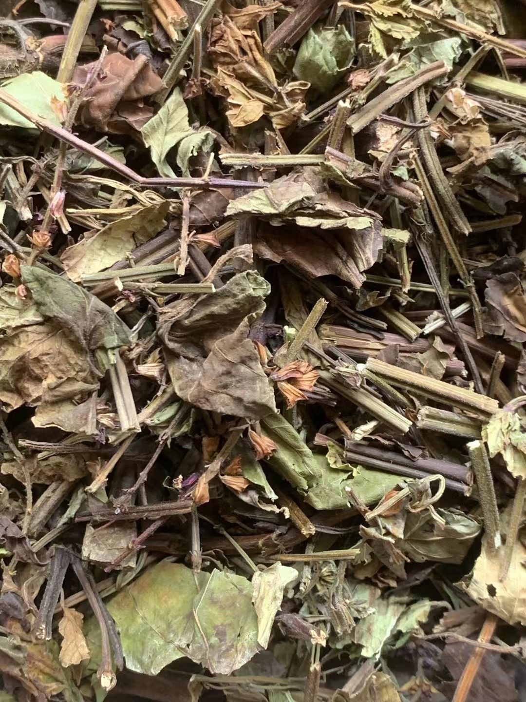 玉林长期供应｛石见穿｝可批量可零售量大从优【包邮】