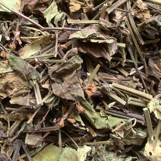 玉林长期供应｛石见穿｝可批量可零售量大从优【包邮】