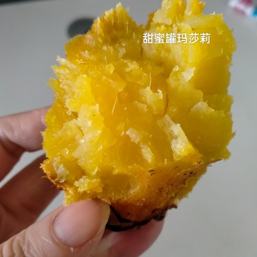 正宗威海玛莎莉甜到掉牙美味，玛莎莉红薯