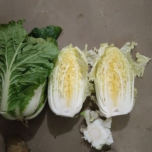 平度市平度大白菜